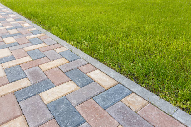 Best Driveway Paving Near Me  in Eton, GA